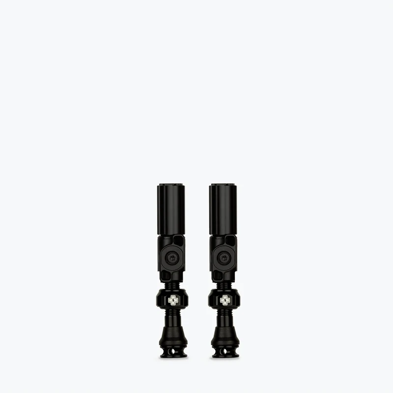 Big Bore Hybrid Tubeless Valves
