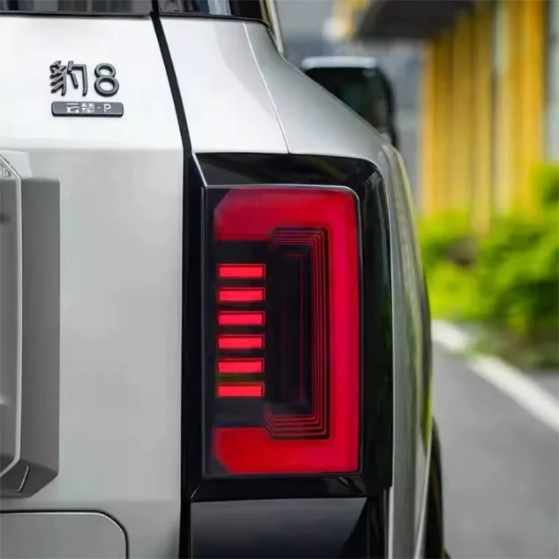 Smoked Tail Light Cover for Denza B8 (2Pcs)
