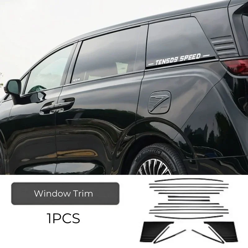 Window Trim for DENZA D9